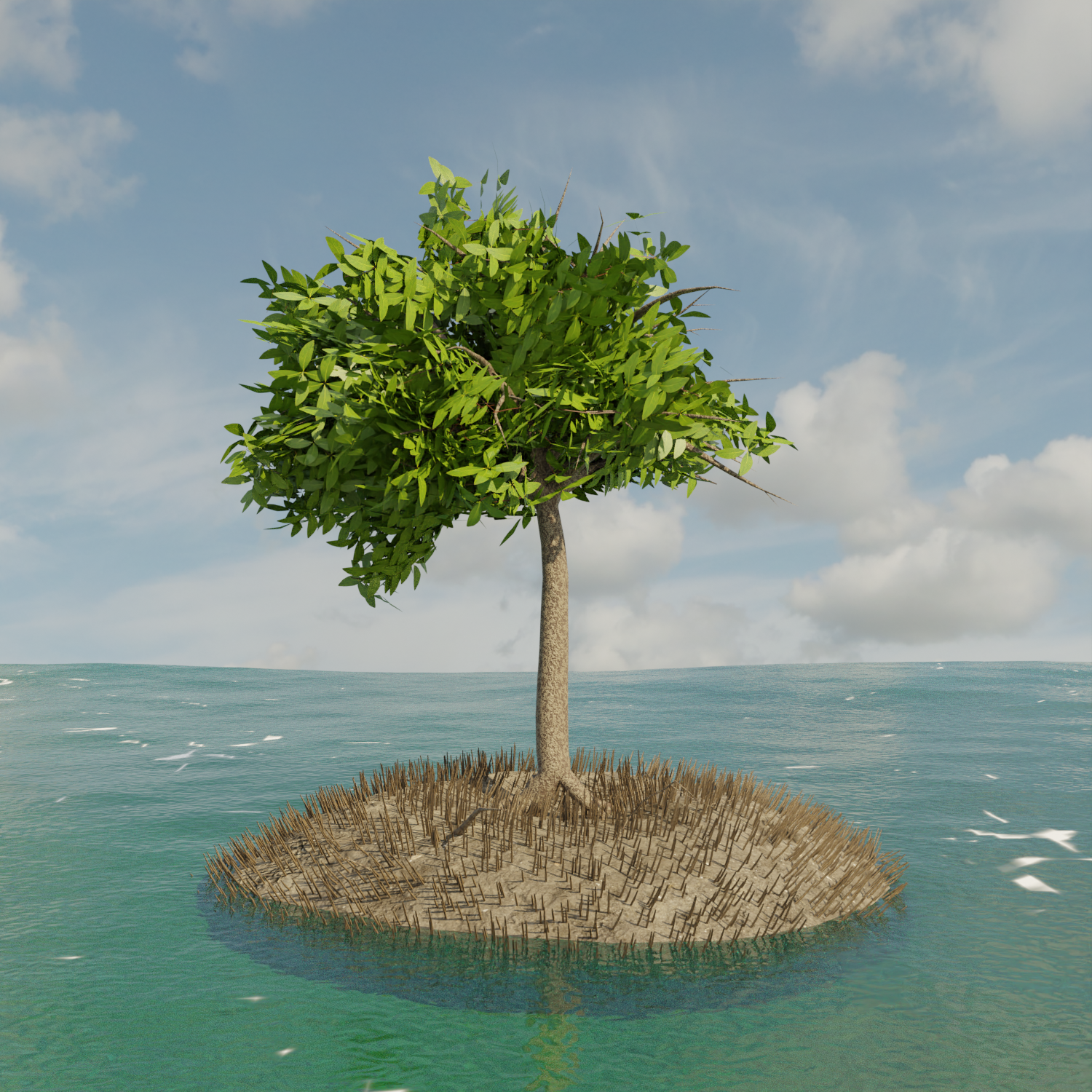 BlackMangrove_Render