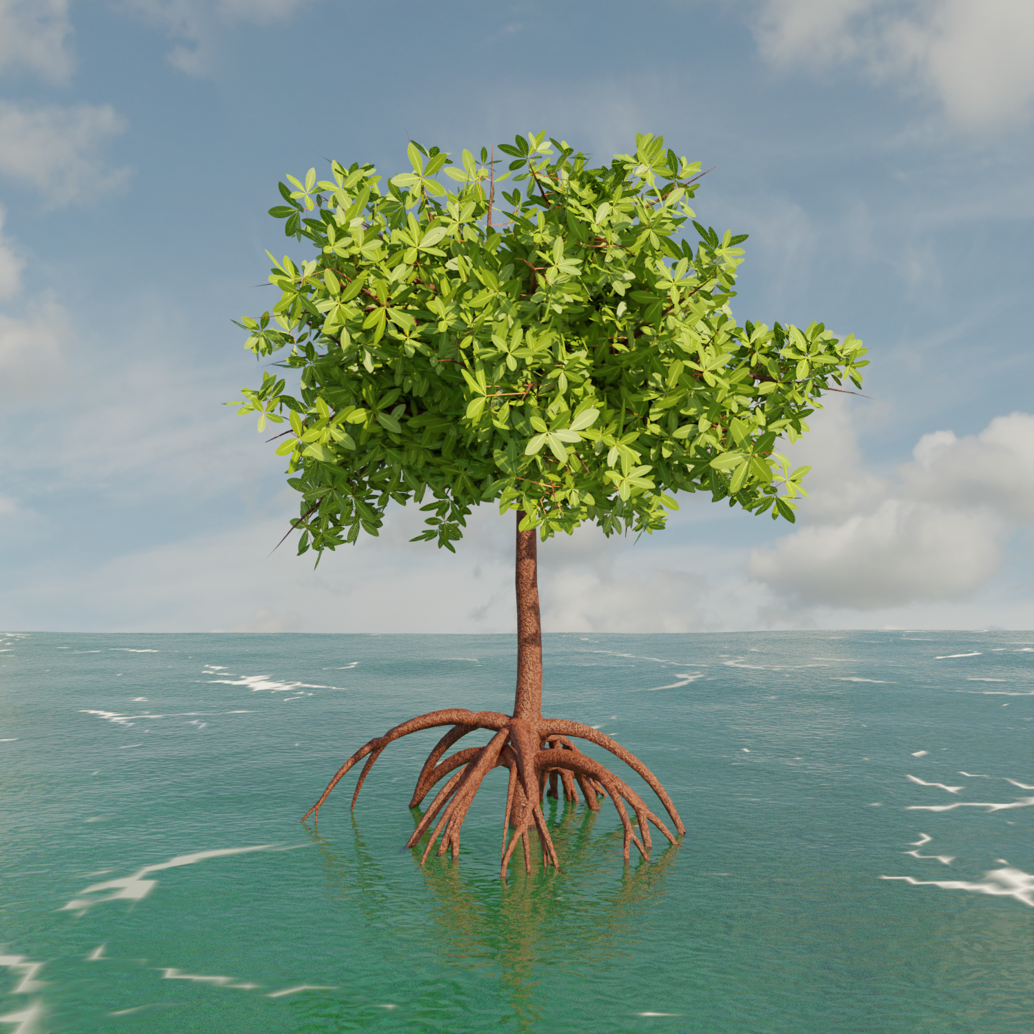 RedMangrove_Render