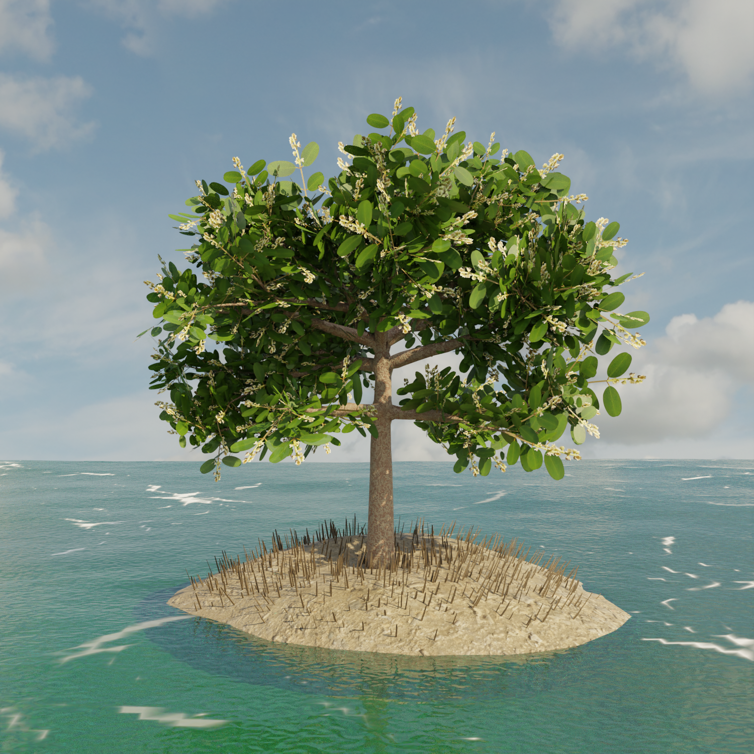 WhiteMangrove_Render