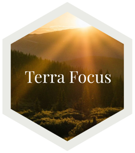 terrafocus